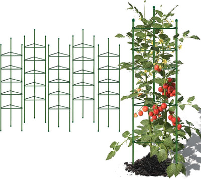 Jaula tomate 6ft para cama elevada soporte plantas trepadoras