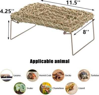2 Hamacas Reptiles con Patas Metal y Tumbona Decorativa