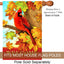 Bandera doble cara hojas arce cardenal 28x40pulg