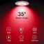 12 Bombillas LED MR16 7W 700lm Rojo Base GU5.3 No Regulable