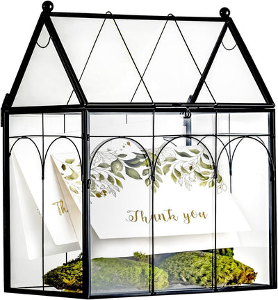 Terrario cristal con tapa para cactus 7.5x4.9x9pulg color negro