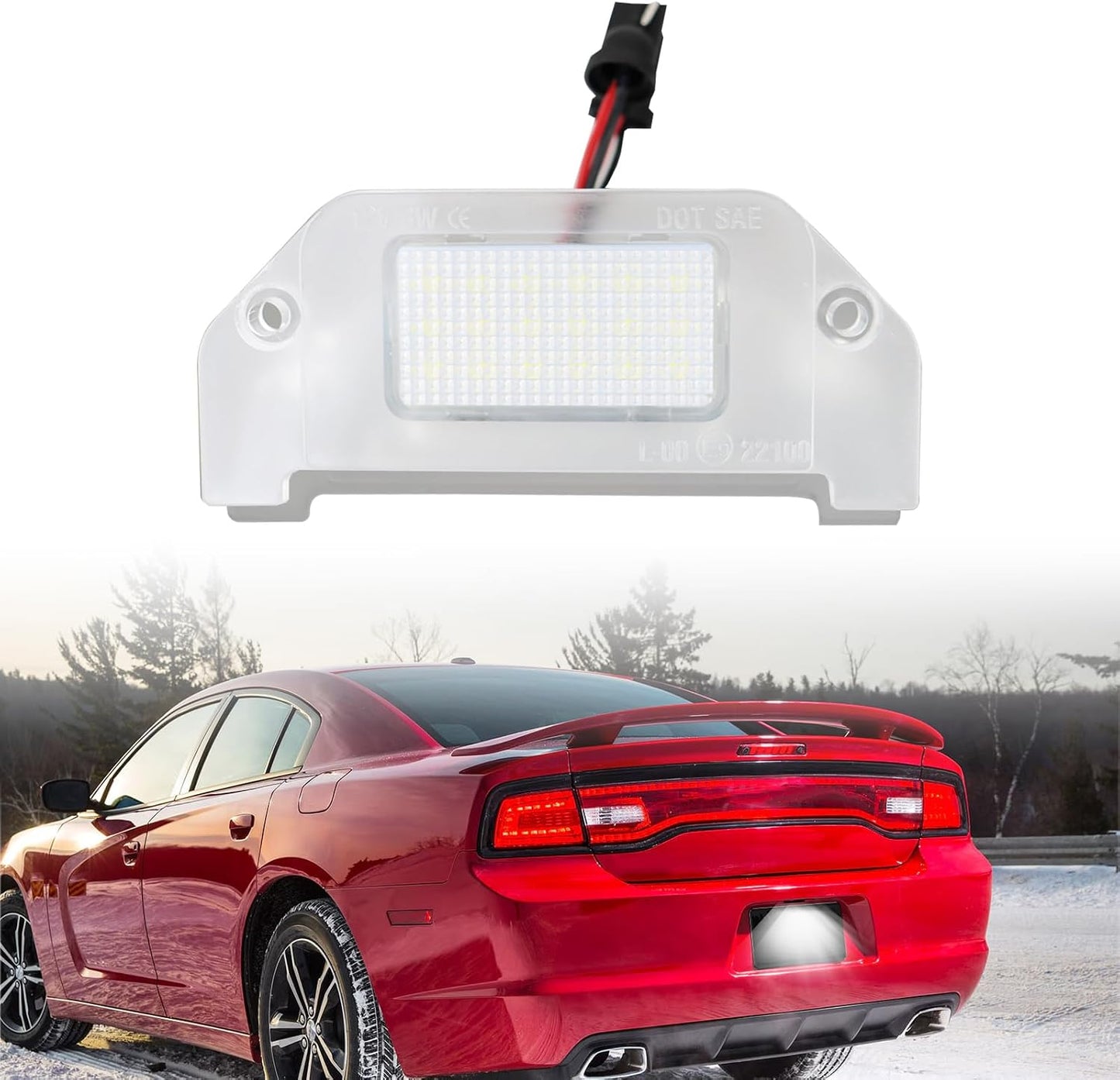 Luz LED matrícula Dodge Charger 2005-14 6000K Xenon SMD