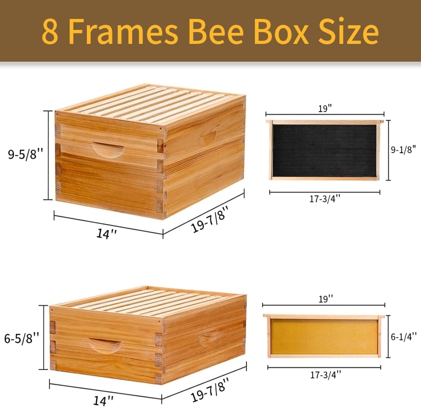 8 Marcos cera abeja para principiantes con bases