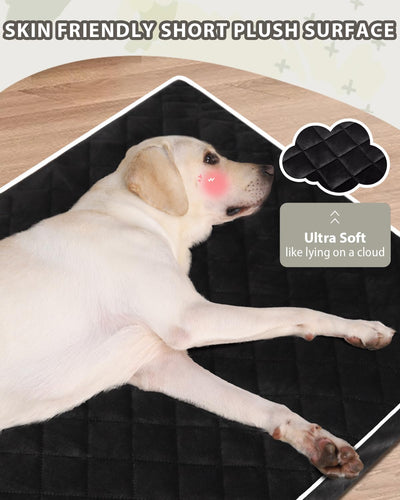 Cama ortopédica perro grande impermeable 47x29pulg negro