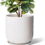 Maceta cerámica 12pulg para plantas interior exterior