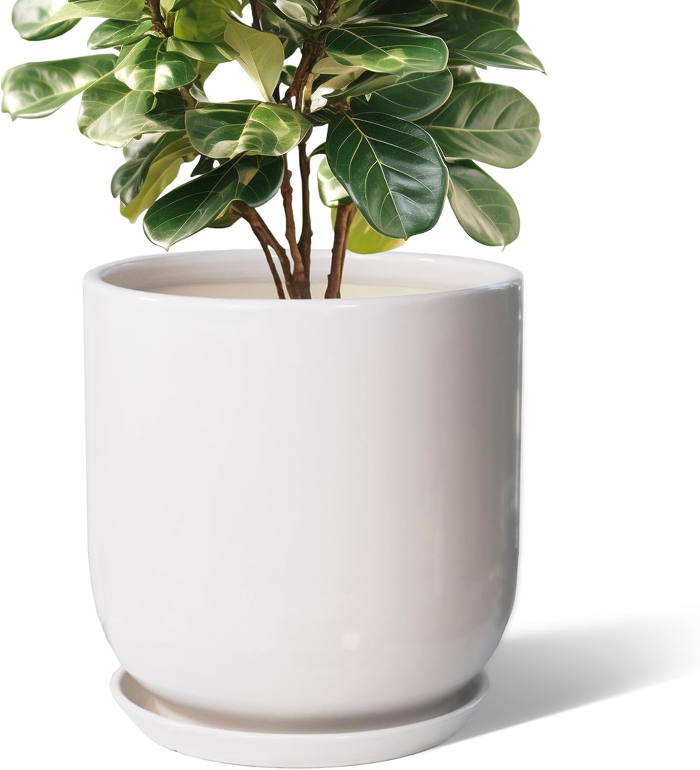 Maceta cerámica 12pulg para plantas interior exterior
