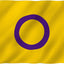 Bandera intersexual 3x5ft lona ojales latón