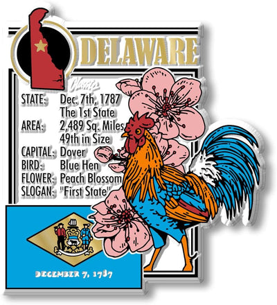 Set 6 imanes estatales Delaware recuerdos coleccionables