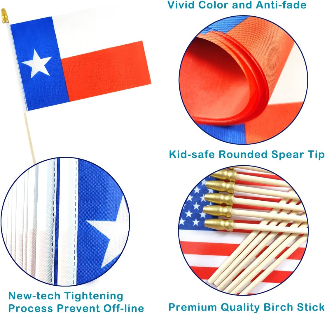 Banderas Texas con poste madera 12 Pzas