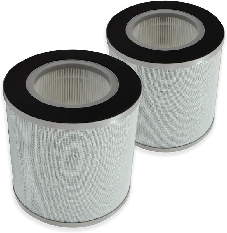 Filtros HEPA H13 Bagotte BAP30 pack 2