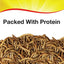 Alimento pájaros silvestres bolsa 16oz marrón