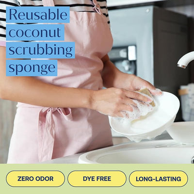 Esponjas cocina antiarañazos plantas reutilizables 6