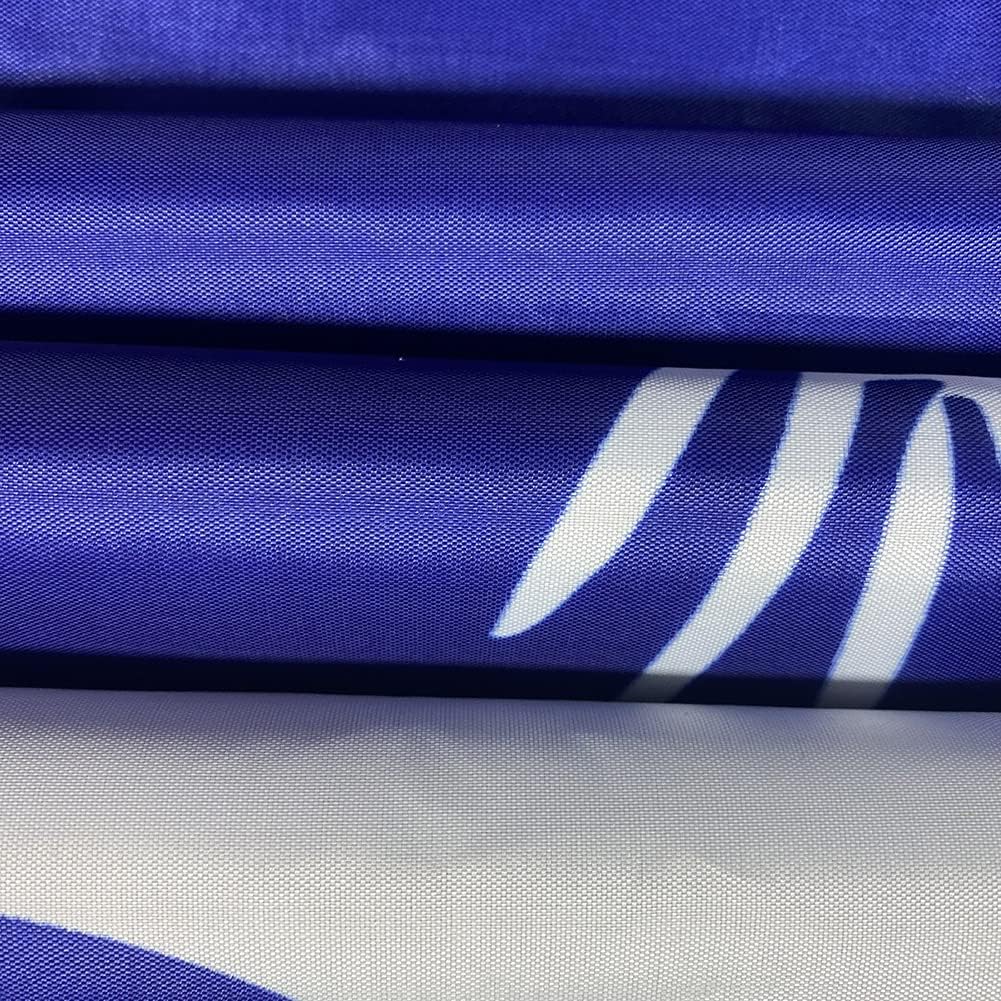 Banderas doble cara SC Canrolina 2x3" 100% poliéster