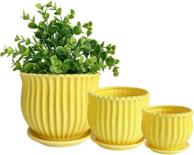 Macetas cerámica amarilla con platillos set 3