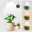 Luces crecimiento 2en1 para plantas interiores 48 LEDs 360°