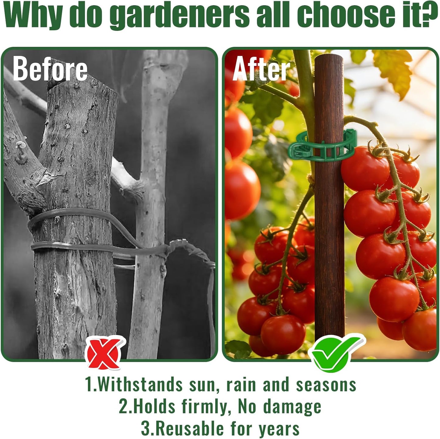 300 Clips Tomate Reutilizables para Jardín
