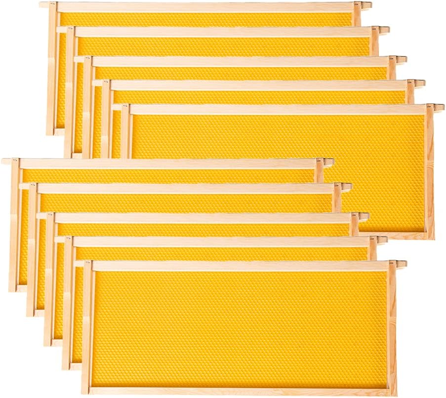 Marcos colmena profunda 10pzas 9-1/8pulg amarillo