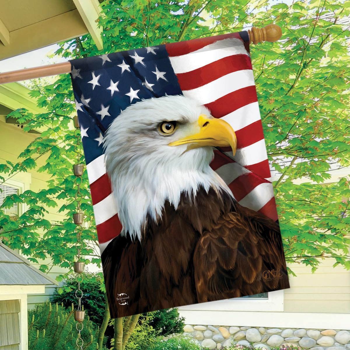 Bandera patriótica casa del águila americana