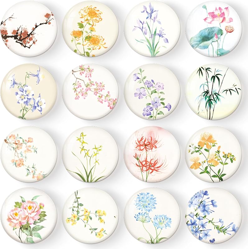 16 Imanes decorativos para nevera y pizarra blanca