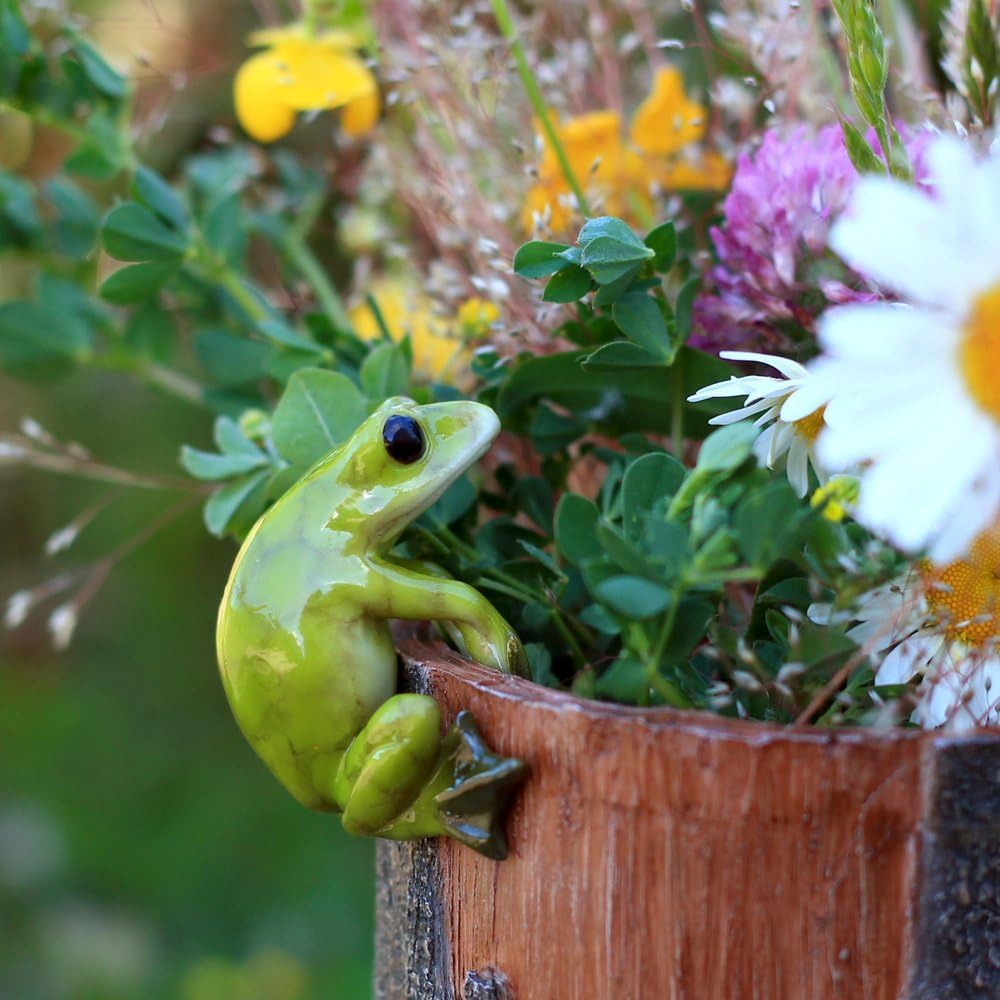 Maceta abrazador jardín hadas con rana y flor mini