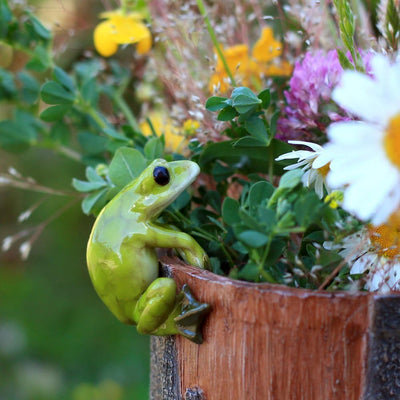 Maceta abrazador jardín hadas con rana y flor mini