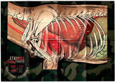 Objetivo papel 2 caras Deer Vitals 19x27pulg (5 pzas)