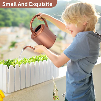 Regadera acero inox 1L pico largo mango resistente