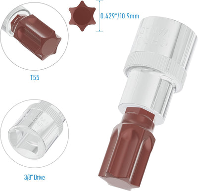 Socket estrella T55 acero S2 tratado térmicamente 1.9"