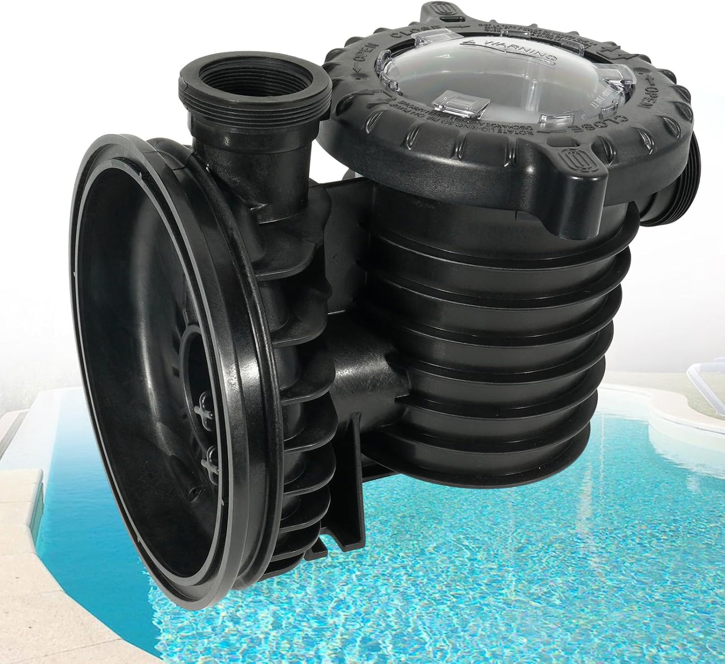 Conjunto cuerpo bomba piscina comp Pentair Sta-Rite