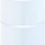Filtro piscina comp CC100 CCRP100 PAP100-4/M4 1 pack