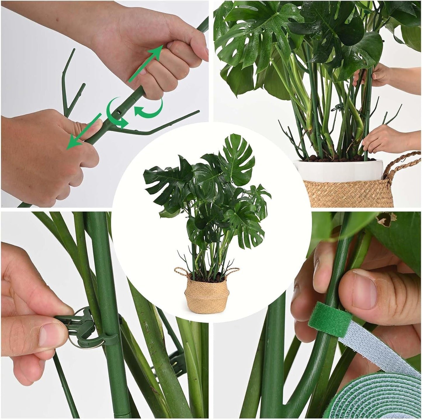 12 Estacas Soporte Plantas 39.37" con Postes y Clips