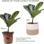 Cesta plantador 11pulg cuerda algodón decoración moderna
