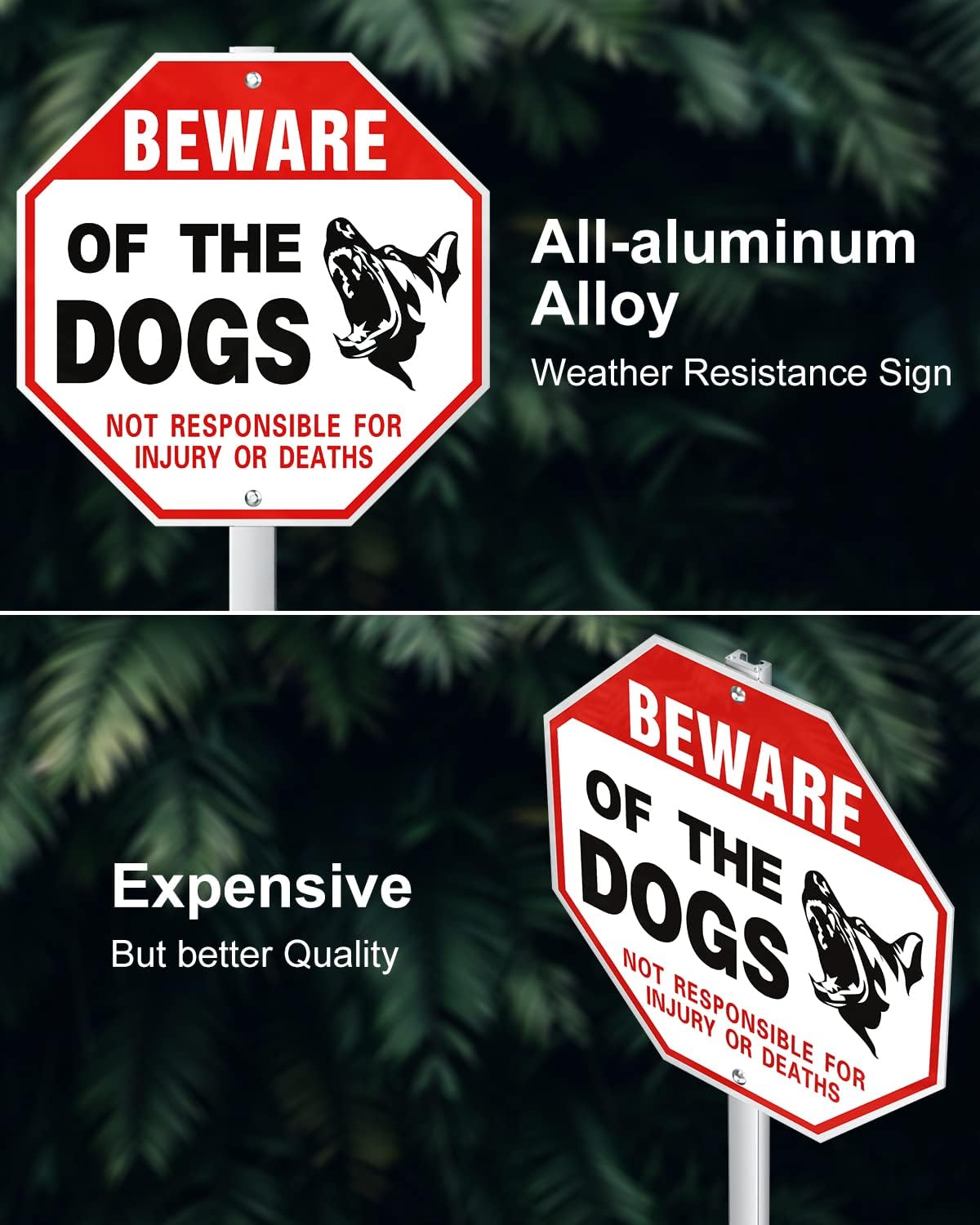 Letrero aluminio 10x10" Beware of Dog 28" UV resistente