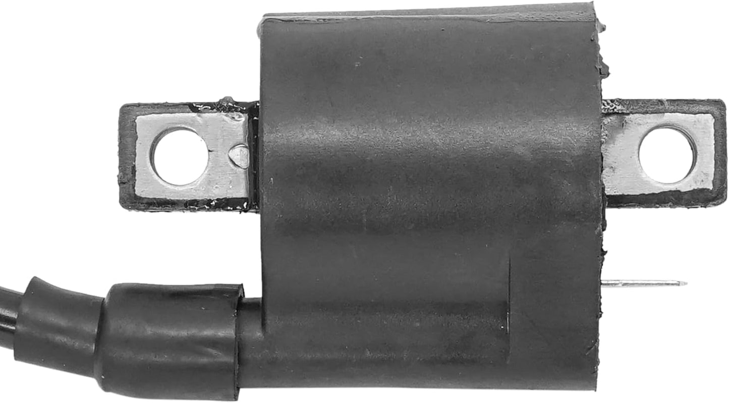 Bobina encendido comp Polaris Xplorer 1999