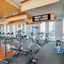Cartel gimnasio Nobody Cares 72x24" ojales latón