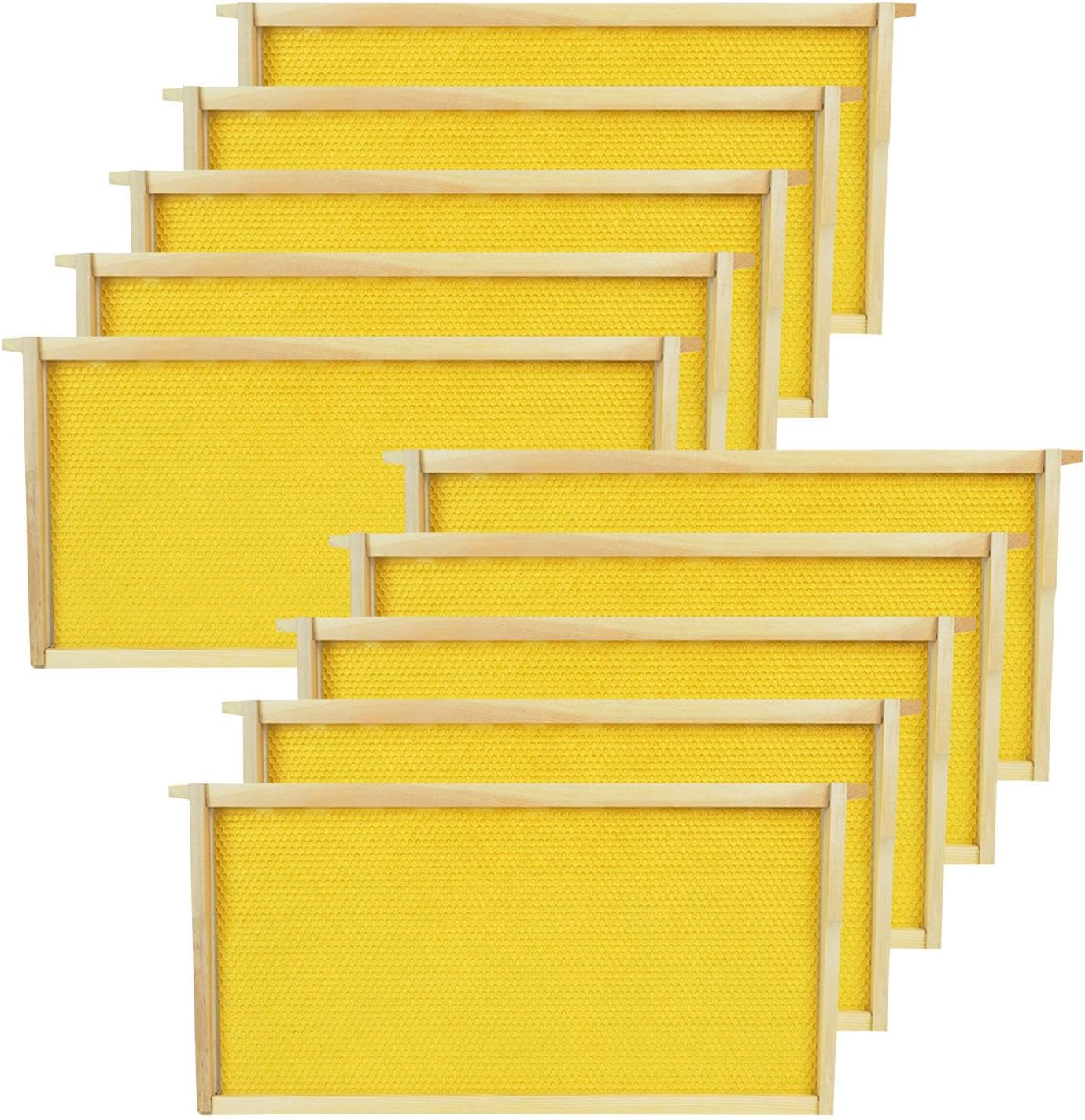 Marcos colmena profunda con base cera 10 Uds 9-1/8"