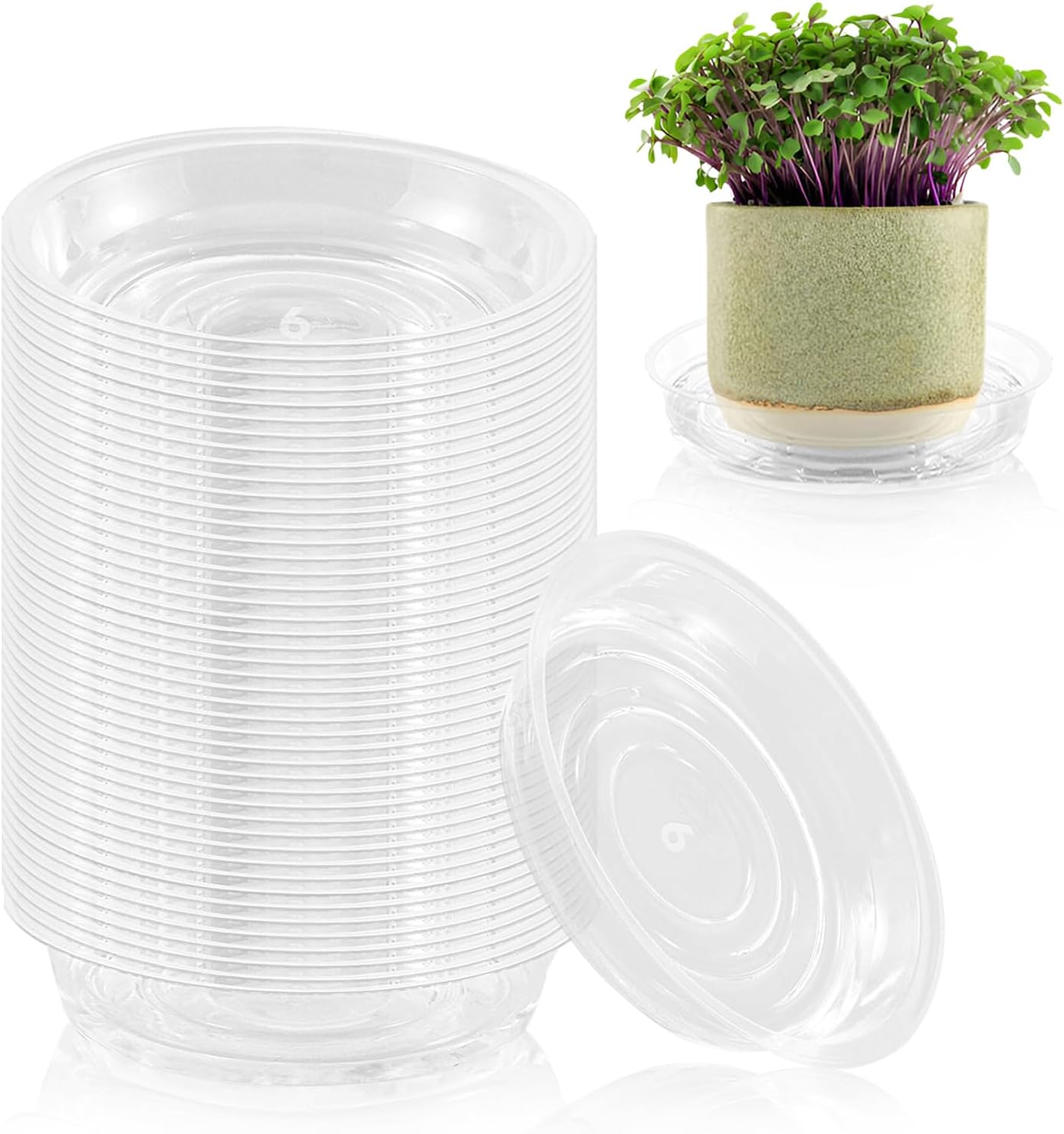 60 Platillos Transparentes para Macetas 6"