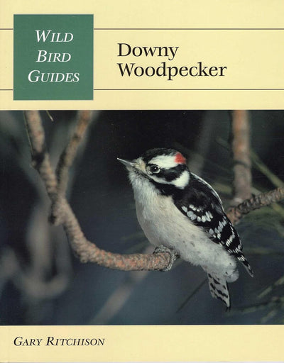Guía aves Downy Woodpecker