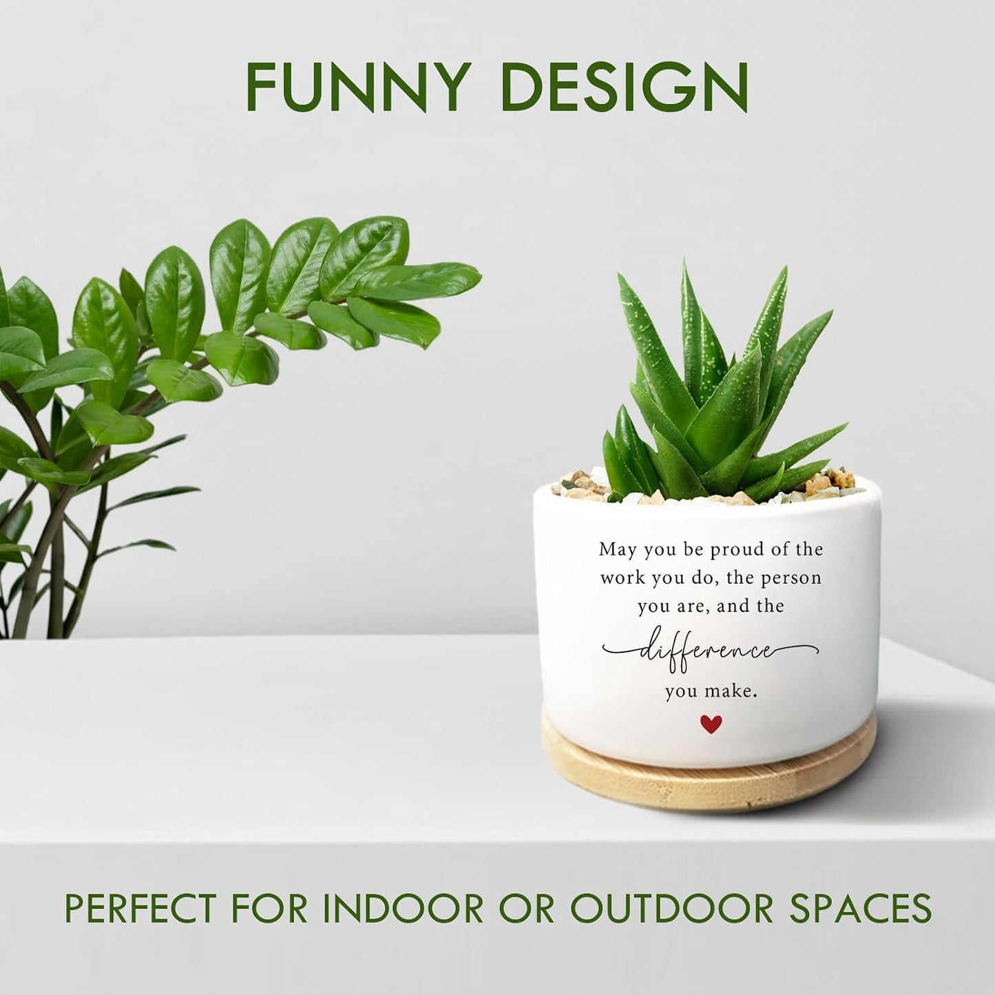 Maceta Graciosa para Cactus y Suculenta Regalo