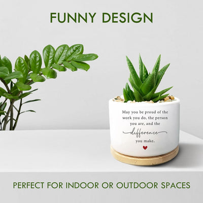 Maceta Graciosa para Cactus y Suculenta Regalo