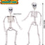 2 Esqueletos Decorativos Halloween 3ft Articulados
