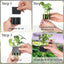 Soporte colgante para plantas acuáticas 3 agujeros negro
