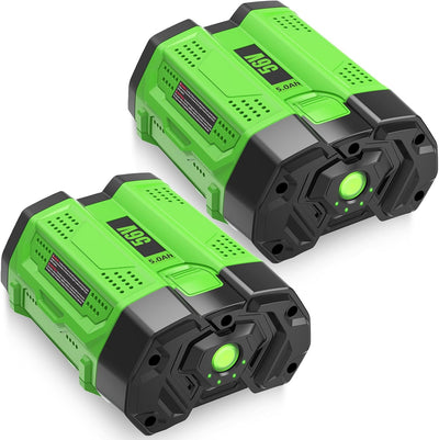 2 Baterías Litio 56V Repuesto EGO 5.0Ah