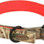 Collar perro resistente agua hebilla rápida