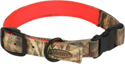 Collar perro resistente agua hebilla rápida