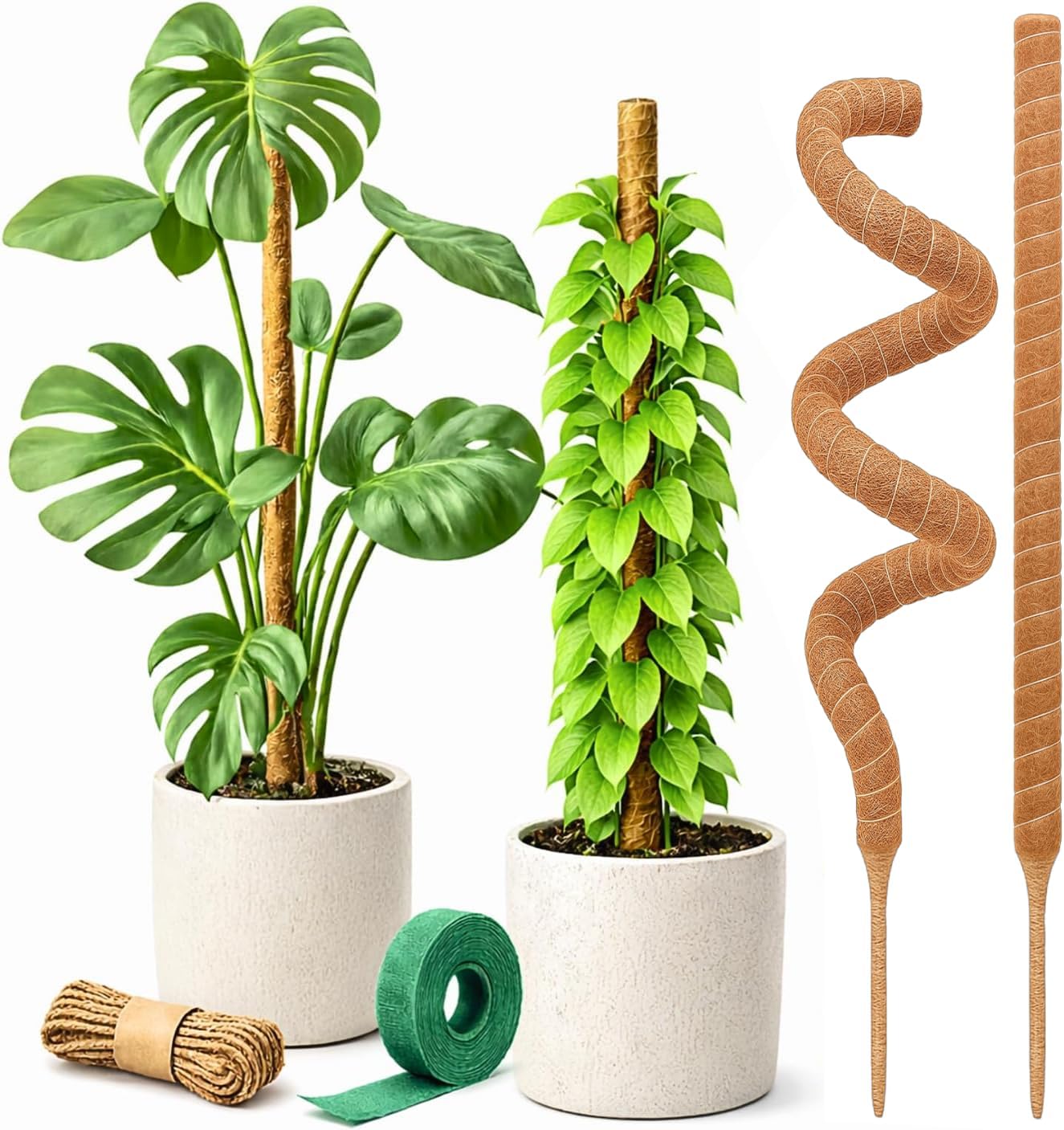 Soporte plantas Monstera poste musgo 28" 2 pzas