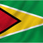 Bandera Guyana 3x5ft poliéster color dorado cabecera lona