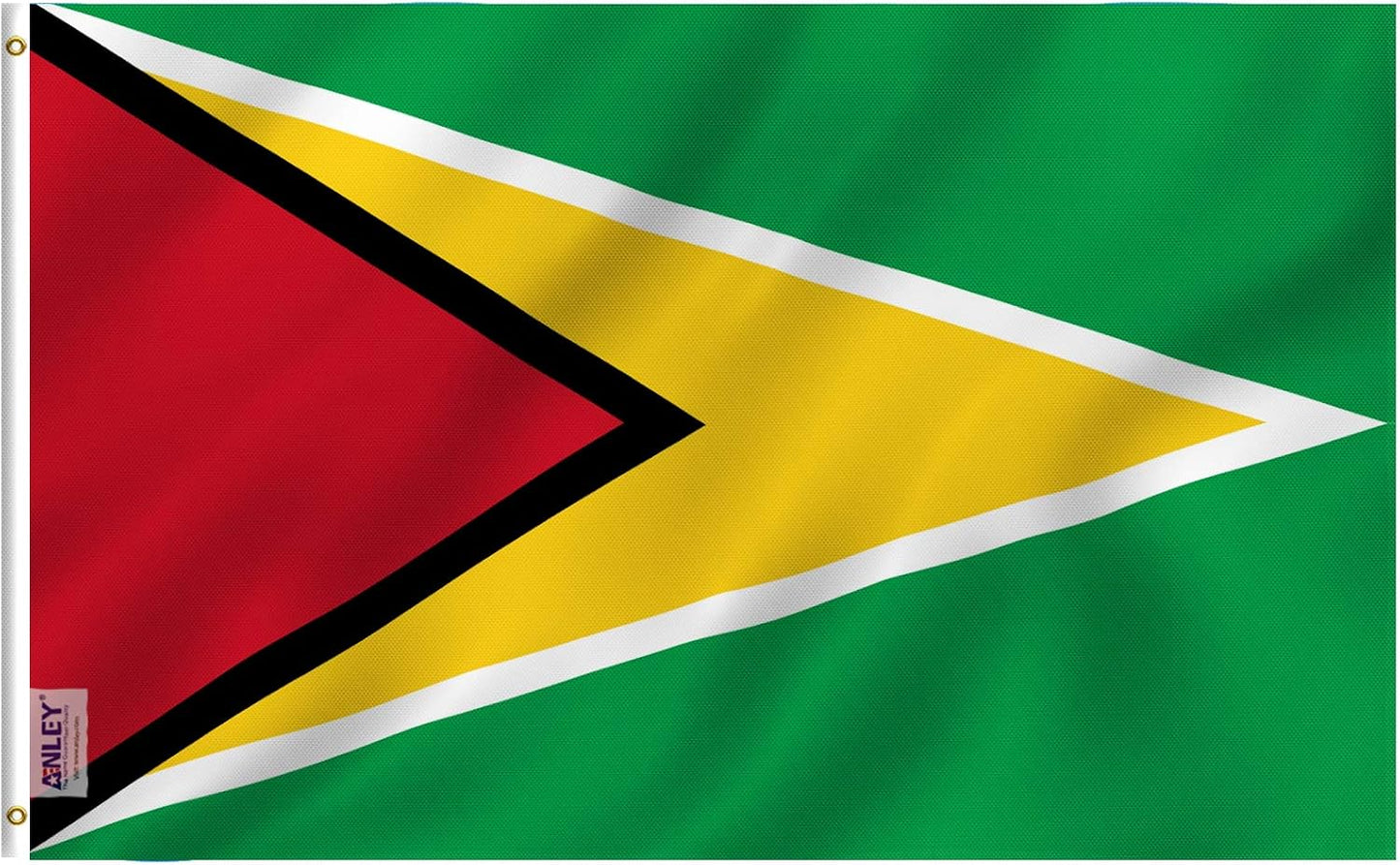 Bandera Guyana 3x5ft poliéster color dorado cabecera lona