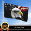 Bandera Americana Vintage 3x5ft Doble Cara 12x18" 4 de Julio