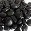 5lb Guijarros Río Negro Pulidos 2-3" Paisajismo